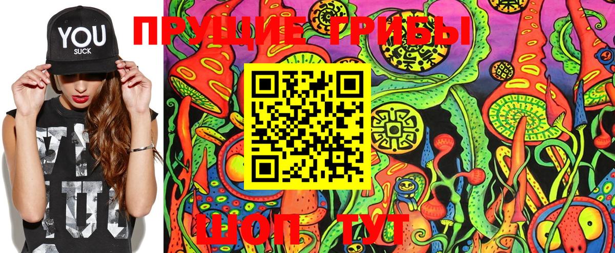 Можга  что такое наркотик  Вход с VPN  Псилоцибиновые грибы Cubensis 